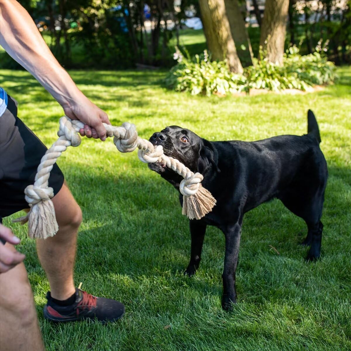 Dwellza Dog Rope Toy for Large Dogs, 92cm Natural Cotton Chew Toy for Tug of War & Pulling