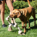Dog Rope Toy for Large Dogs, 92cm Natural Cotton Chew Toy for Tug of War & Pulling - Dwellza