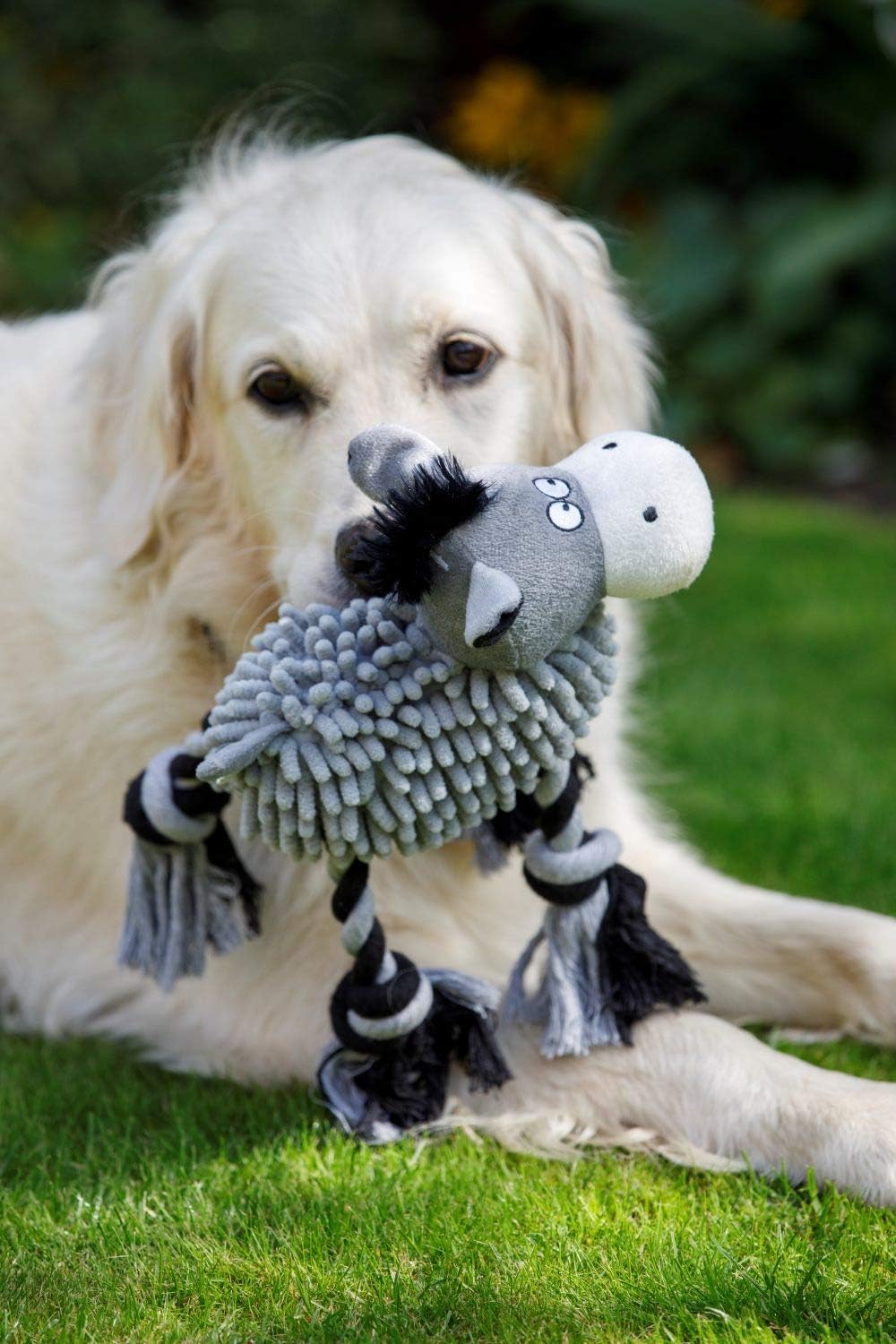 Dwellza Squeaky Farmyard Donkey Plush Dog Toy – Medium, Grey & Black