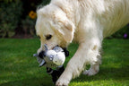 Squeaky Farmyard Donkey Plush Dog Toy – Medium, Grey & Black - Dwellza