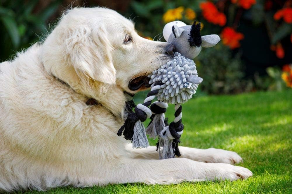 Dwellza Squeaky Farmyard Donkey Plush Dog Toy – Medium, Grey & Black