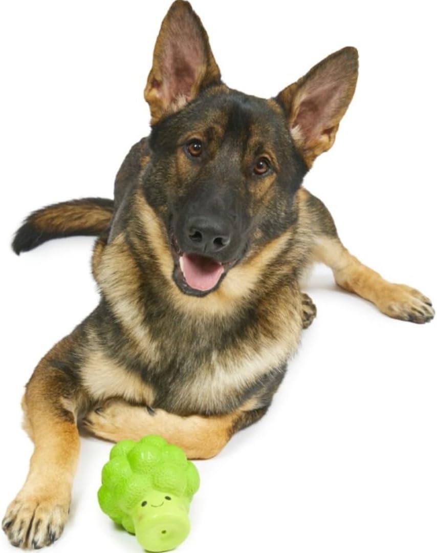 Dwellza Squeaky Latex Broccoli Chew Toy for Dogs – Large, Green